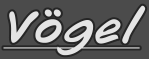 Vögel